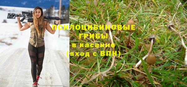 герыч Козельск