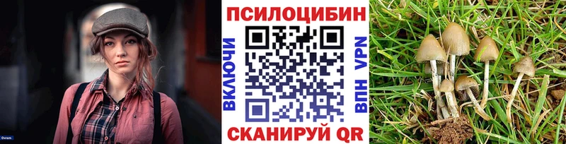 Псилоцибиновые грибы Psilocybine cubensis  Короча 